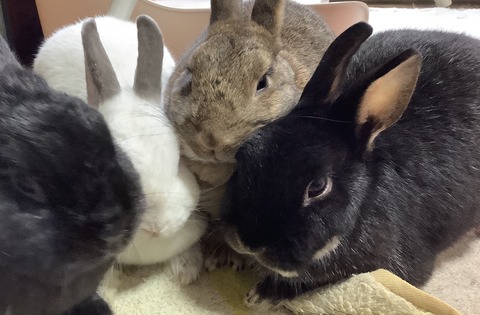 DFB575A2-ACF1-407F-807E-493828E735E9