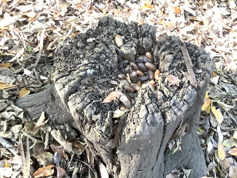 75C4B8CB-79F3-4A71-BE79-ADDED84E2D16