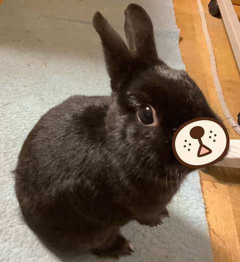 C19D4C8E-80F2-4EB2-AB77-1B3601798814