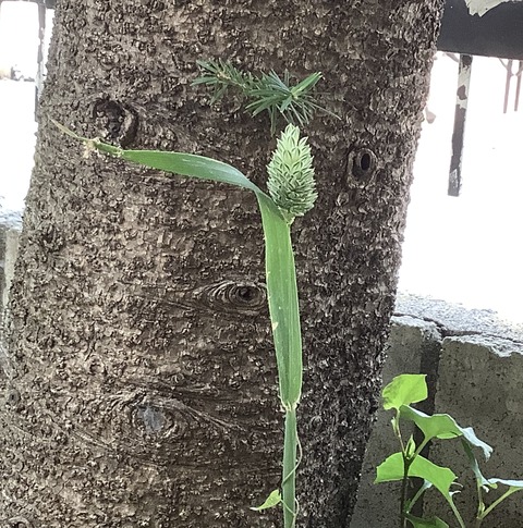 4FBE692E-13FC-4B76-9C6A-BEC74FB4378B