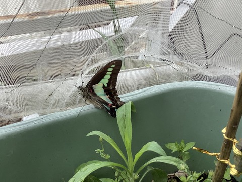 675228C6-594E-40FA-B167-187C32AB0D62