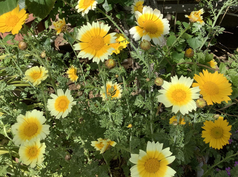 9914CCCC-3D1C-4EF7-9555-5F2C8B7059A5