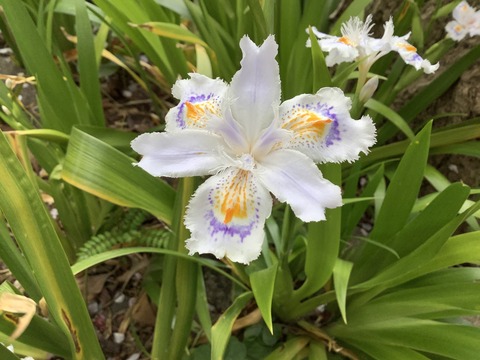 2CAAD7DF-14F7-4D80-BF7E-EBBF7CEE00E2