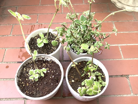 EE57FD92-B84B-4E7D-AF5C-13718BDAE9AD