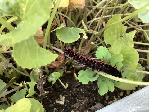 6F79F749-53B0-40EC-B998-3B84261265F5