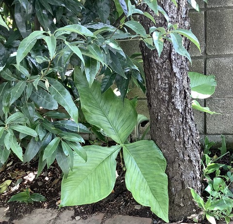 8AC63AE2-A4FC-47E7-BC1E-934F9E786F34