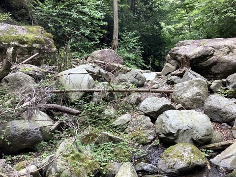 2C14271A-F243-4C09-908E-B4F70C69A051