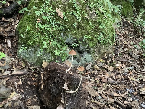 F976AF13-3C89-4ADF-A7B6-1C69B2DE1892