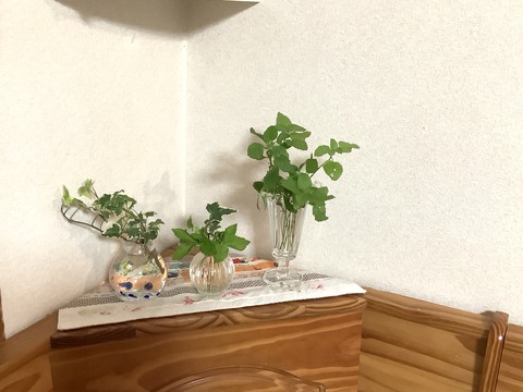 E09056B4-3DC1-4195-8418-9BB9E74674BC