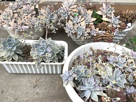 256C7B4D-0E45-4CAE-A8D4-54EB537F4D2F