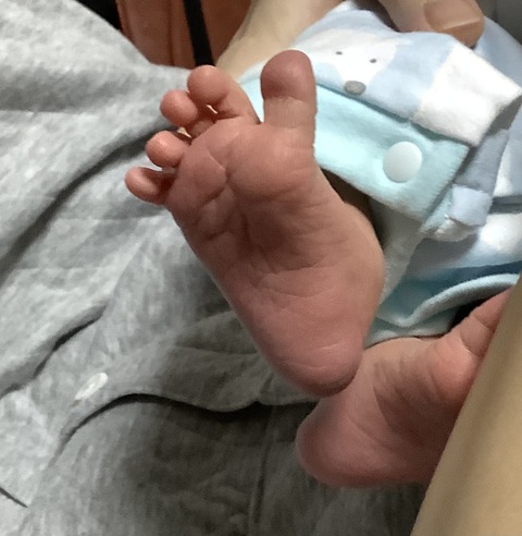 B4C12057-C013-491D-8B9E-E680723A0325