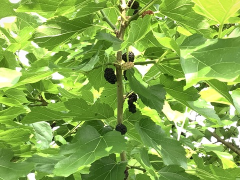 C6857B71-3647-4EF7-AAEF-24DF5A58349F