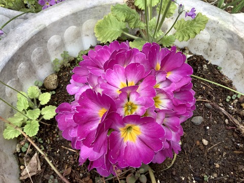 F8663A38-2F08-4099-9411-1F568DF41BC4