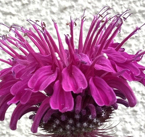 9288F0E2-6AE0-408F-8220-880F01877BAC