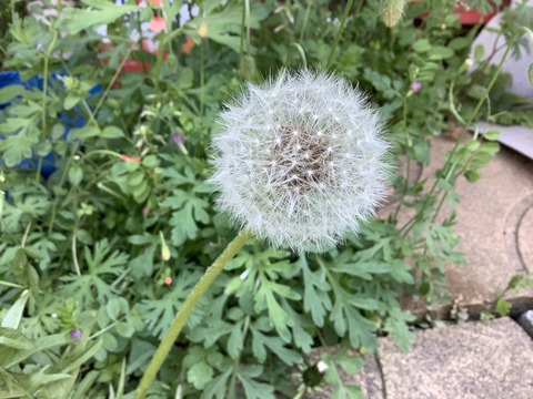 522A06F5-65E5-446B-AC48-2D5259A9A9C9