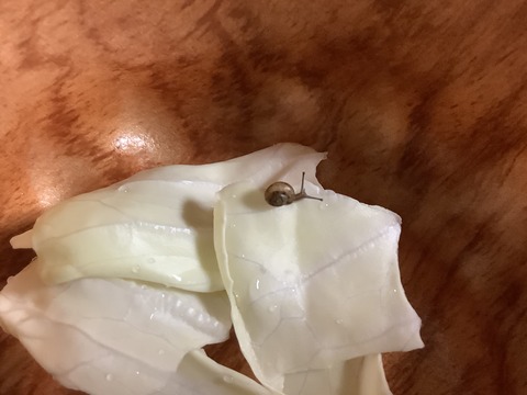 EC27868A-778D-451D-9E7E-FDC43B51FDA3