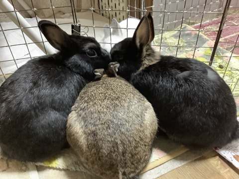 32B5E16C-33FD-4067-9096-91E7182864EB