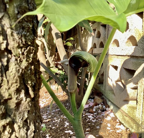 26BE3892-2A97-42CD-9D4A-52796108D30A