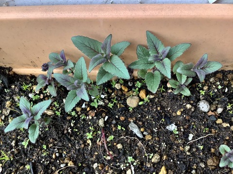 90C1E536-726C-4CCA-9D5B-5B0BE4E509FE