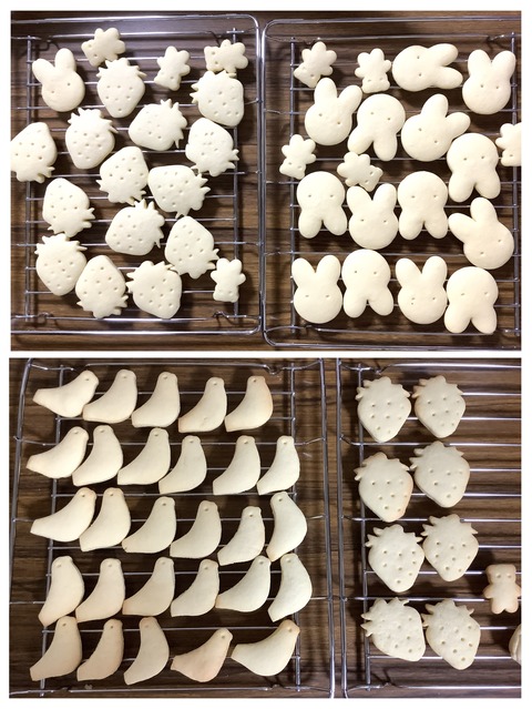 11EB96B4-5196-4013-A773-537AFDFA3D37-COLLAGE