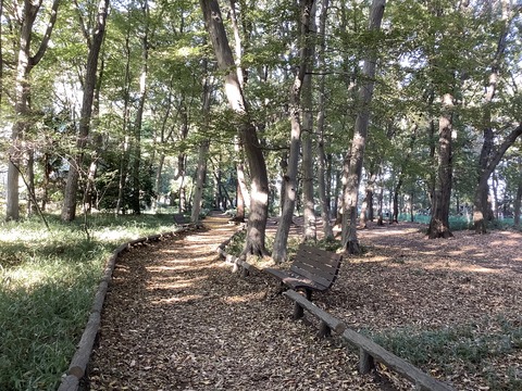 67CFA600-9C26-4DE4-9C2E-78655537CB66