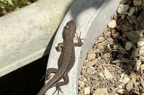 2DE92784-F2D2-4C51-9493-FFC44C9A2E01