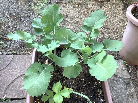 AC0ECA3D-8E02-482D-8B2B-538631E03D95