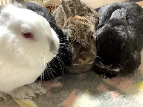 301D618A-D5DE-46E3-9CFE-EF11EEC1F745