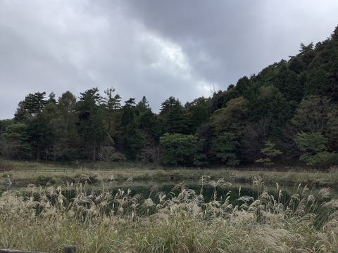 56C26303-26C0-40B2-B25D-25323E33E2D1