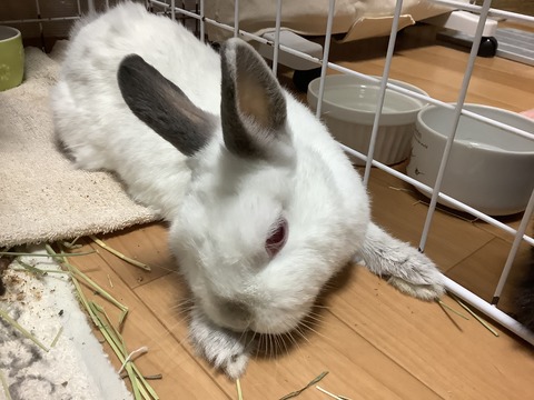 9209B5CD-7CCD-4ED8-AB11-6AE8DA8A8AFB