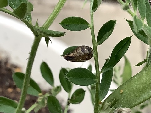 D9FC97DF-1808-4439-8FCB-CE747E5562EA