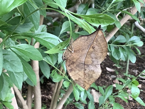 311CAACF-0232-4A64-BAF3-DAB5ED897CA4