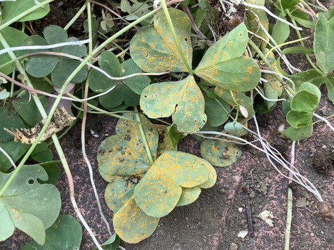 1C035EFA-9C02-433C-A1A5-F4D18356FF0D