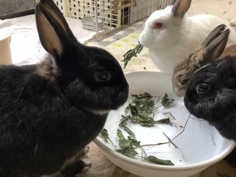 B576B8B6-25B7-4350-BC42-84933CCB66EA