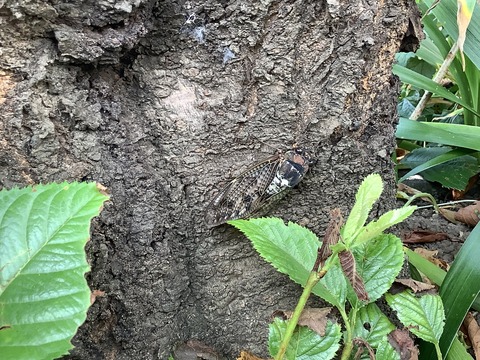 34E08839-8B97-4C3B-91EA-4F7CD50BD568