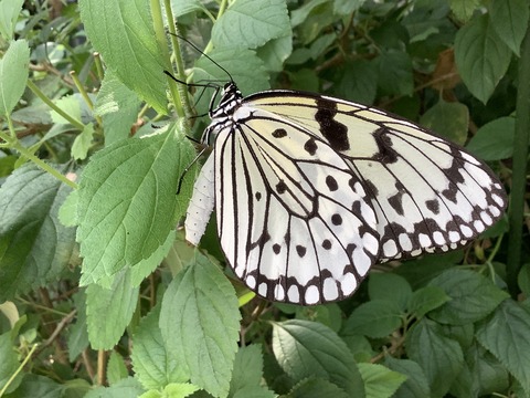 5AEB6E4E-8923-45FB-80E3-9B3E58A69522