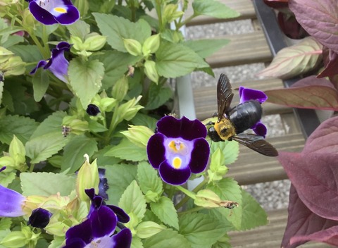 61E5F49C-527C-4665-9B1A-741BB45A05D9