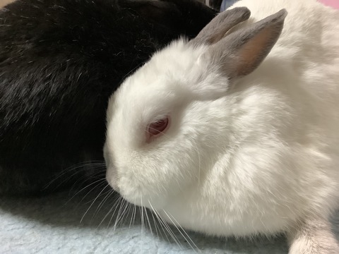 FF21E9DB-3AA8-4507-9FF2-1DAF33B35A09