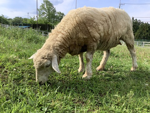 49051AF7-8DBF-4F62-A4A5-C9AD455589C6