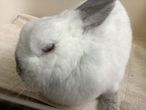 B399B500-F9C7-490E-8DB4-8904194CC070