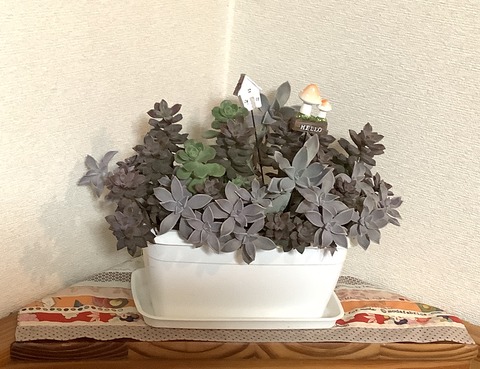 B666EBC4-94D5-488C-9EB3-2B557B33B7FA