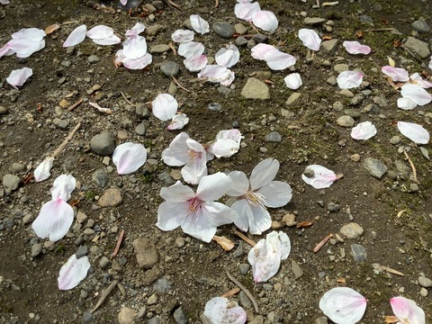 A1294466-B8D0-442C-AEA5-4F98B75AFFE1