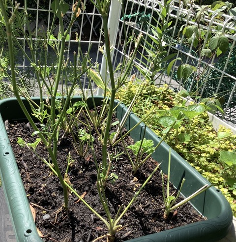 B15F6658-493F-4D80-BF43-C9FDFCAD2820