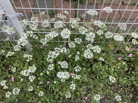 F0A0EDC1-4358-4BC6-B705-13227C8A8CCE