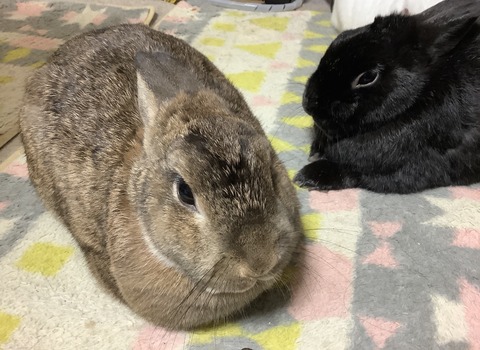 56C441E2-2F9E-439D-912D-A221B036963C