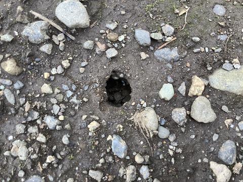 9D30B1F3-D66F-45F1-B5D4-678AF587843B