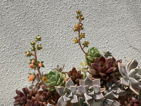 783EFFEF-131E-4043-A109-2D1E3110F6CE