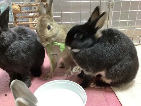 F481E6E0-F90A-4BF9-83E7-A496F42DB571