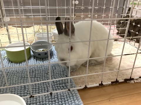 3522CE0A-8362-403D-B4C9-D626579C60A9