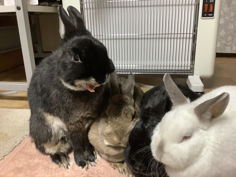 F4AB5A3C-0B93-4BBE-A07C-ED9180546E2F